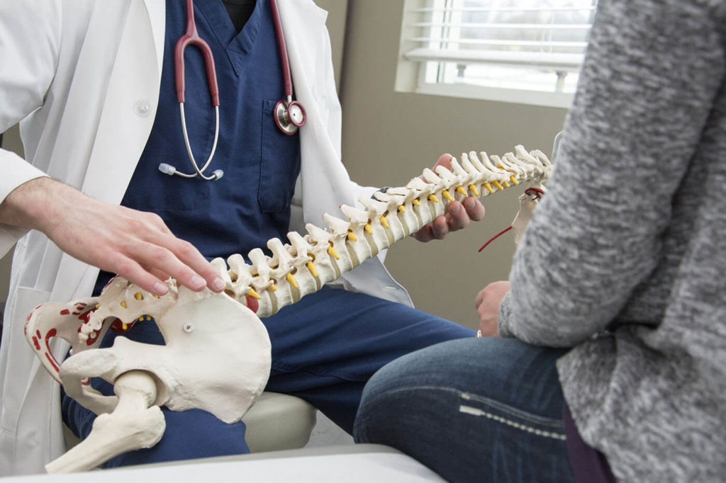 Showing patient the anatomy and chiropractic adjustment